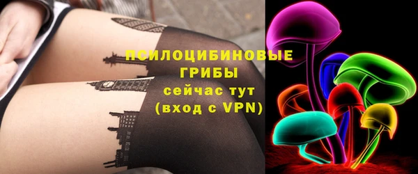 дживик Аркадак
