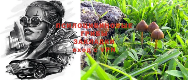 дживик Аркадак