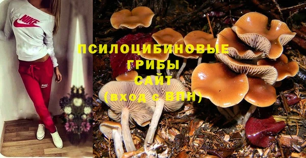 дживик Аркадак