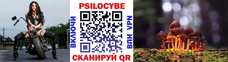 ОМГ ОМГ ссылка  Собинка  Галлюциногенные грибы Psilocybine cubensis 