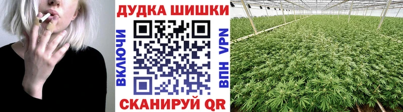 Шишки марихуана SATIVA & INDICA  Собинка 